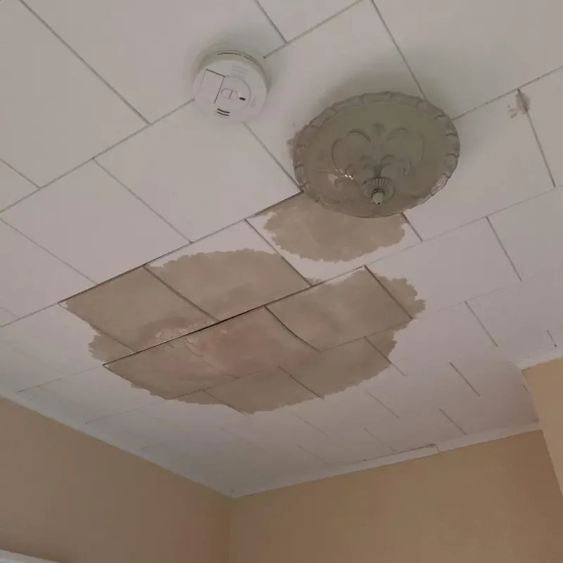 Ceiling Water Damage Repair in Olivet, TN