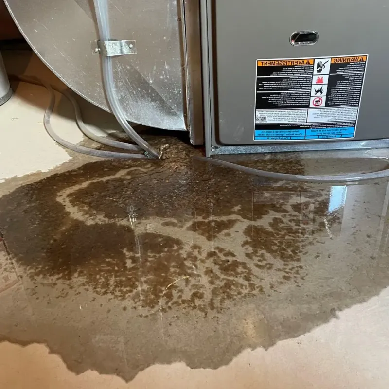 Pipe Burst and Leak Restoration in Olivet, TN