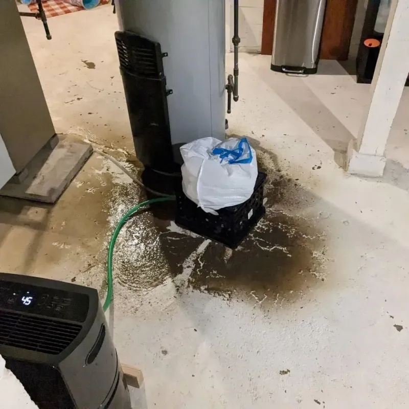 Sewage Backup Cleanup Service in Olivet, TN